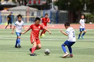 董方卓揭秘,奥运封闭战,痛楚,PINBO,Sports,平博体育,体育直播,体育赛事,APP下载,官方网地址